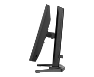 IIYAMA G-Master GB2441HSU-B1 Black Hawk - 1370363 - zdjęcie 6